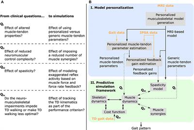 Frontiers | Physics-Based Simulations To Predict The Differential ...